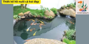 Thiết kế hồ nuôi cá koi đẹp